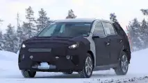Kia Niro EV