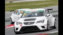 Dicke Cupra-Backen