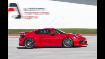 Ready to race