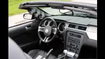 Kraftvolle Giftschlange