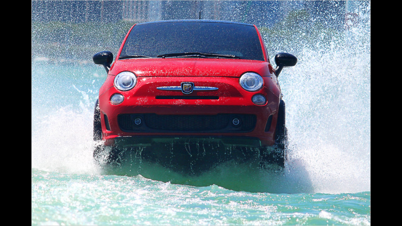 Surfin` Fiat