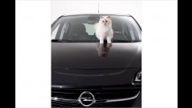 Opel: Corsa, Karl und Katze