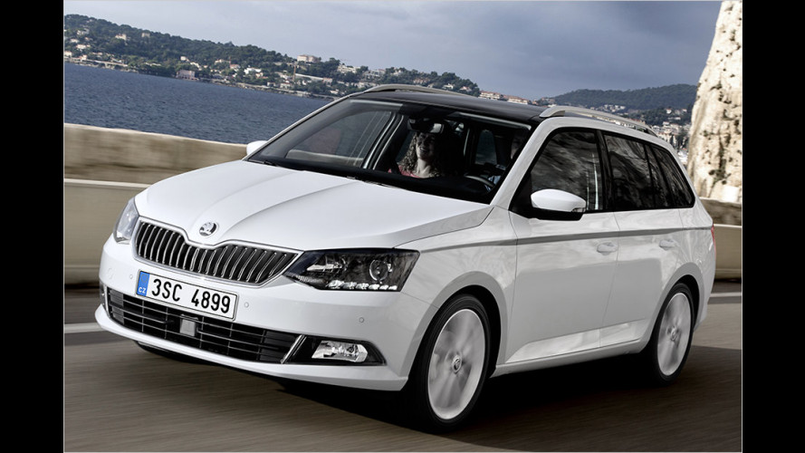 Der Gepäck-Zwilling