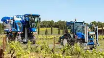 New Holland T4F Enovitis in campo 2022