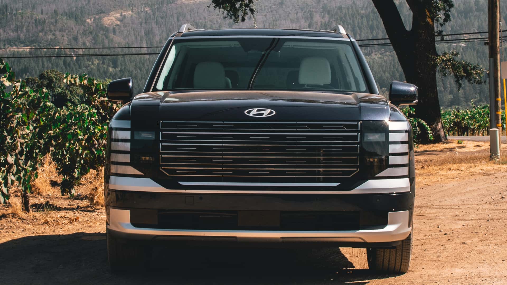 https://cdn.motor1.com/images/mgl/P3A1yG/s1/2026-hyundai-palisade-review.jpg