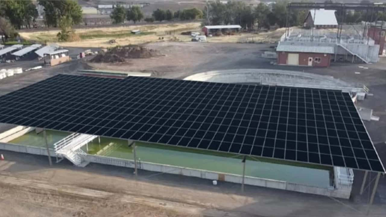 L' impianto fotovoltaico installato su un depuratore
