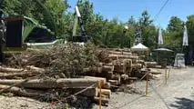 FUTA EXPO 2025: a Barberino di Mugello debutta il grande evento delle tecnologie forestali