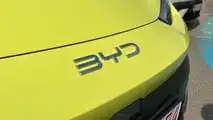 BYD Dolphin Surf live photos