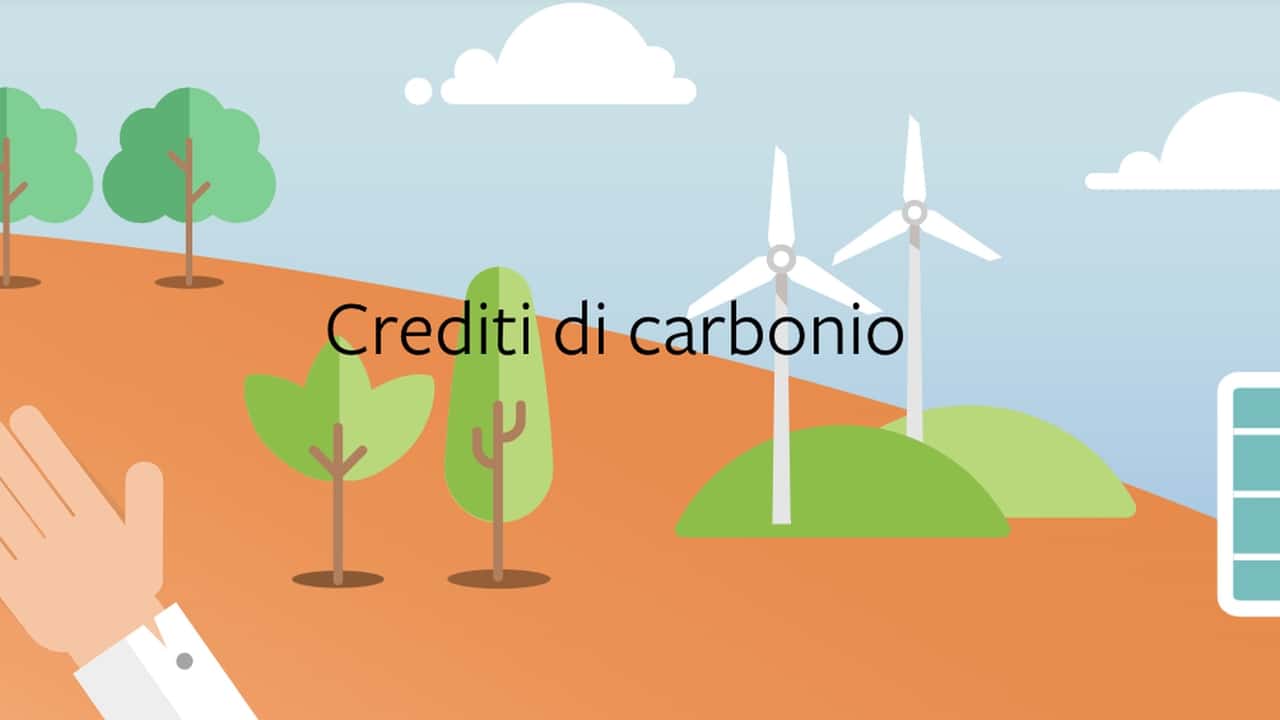 Dall’agricoltura ai boschi: l’Italia si affaccia sul mercato dei crediti di carbonio