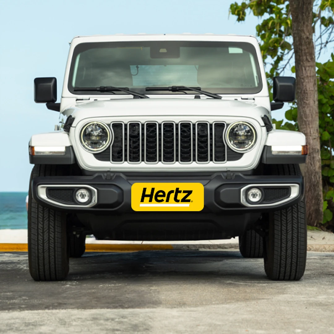 Hertz JEEP アヒル 1匹は音のなるタイプ 海外 2026年最新音の