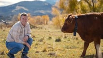 GPS, AI e pannello solare per gestire la mandria da smartphone. La startup Halter raccoglie 315 milioni e conquista Peter Thiel
