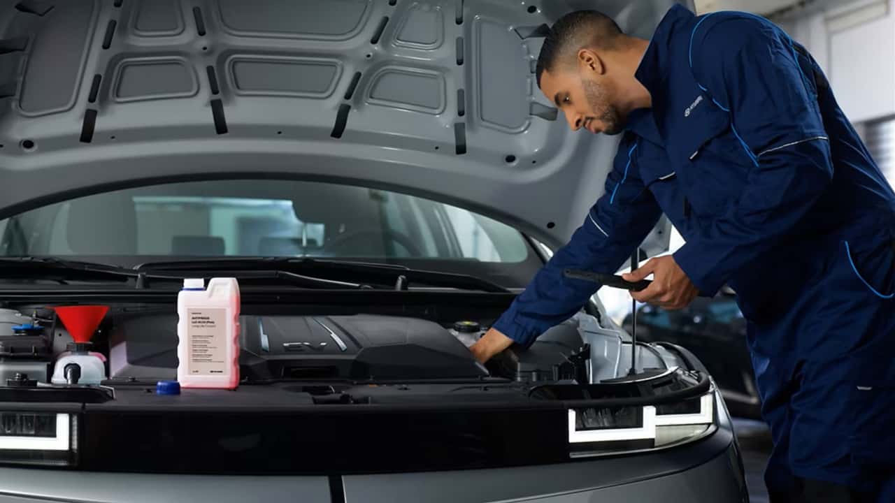 Hyundai Ioniq 5 service