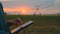 Sensori e AI per programmare i volumi irrigui del pomodoro nel 2026