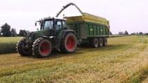 Come programmare raccolta e trincee per l’insilato di triticale
