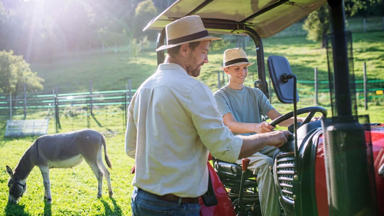 Quando un'azienda agricola passa agli eredi, l'esonero dall'imposta di successione spetta a chi prosegue l'attività: ecco come funziona e i casi dubbi.
