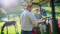Quando un'azienda agricola passa agli eredi, l'esonero dall'imposta di successione spetta a chi prosegue l'attività: ecco come funziona e i casi dubbi.