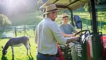 Quando un'azienda agricola passa agli eredi, l'esonero dall'imposta di successione spetta a chi prosegue l'attività: ecco come funziona e i casi dubbi.
