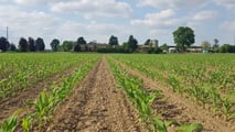 Concordato agricolo: procedura più semplice con il Fisco