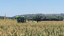 Trattamenti piralide e diabrotica: scelta di irroratrici, barre e ugell