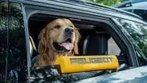 Peugeot E-5008 Dog Edition (2026)