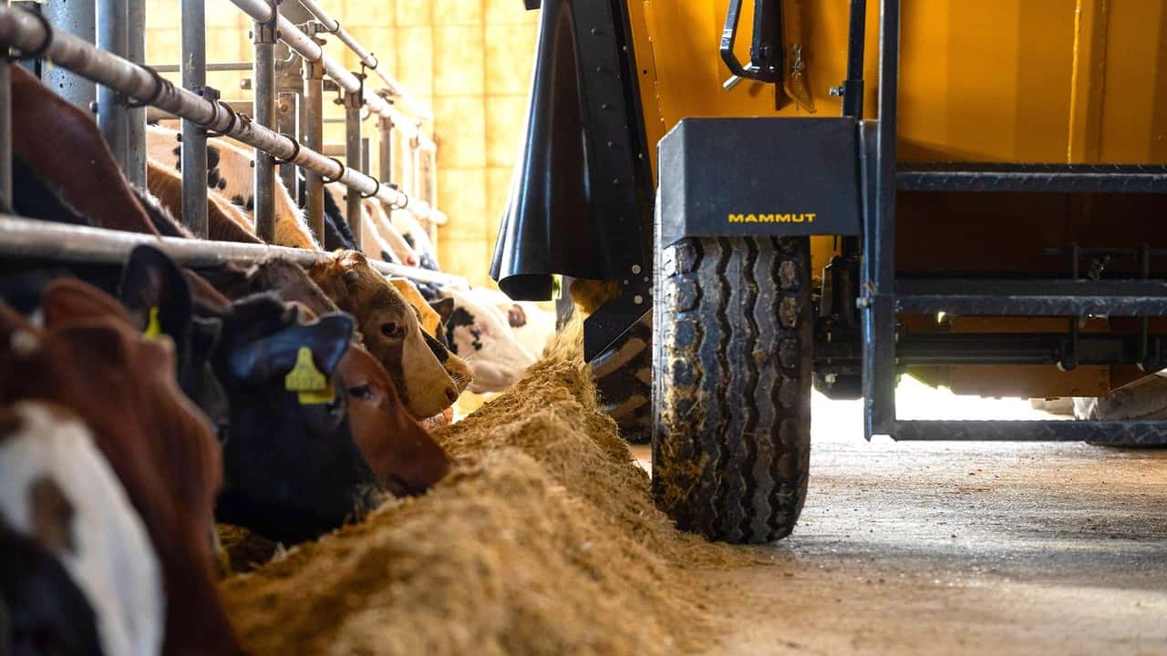 Piano UE proteine 2026: come cambiano i mangimi in stalla