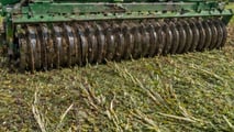 Gestione pratica di residui colturali e cover crop per favorire emergenza uniforme e inserimento della soia di secondo raccolto in sistemi conservativi
