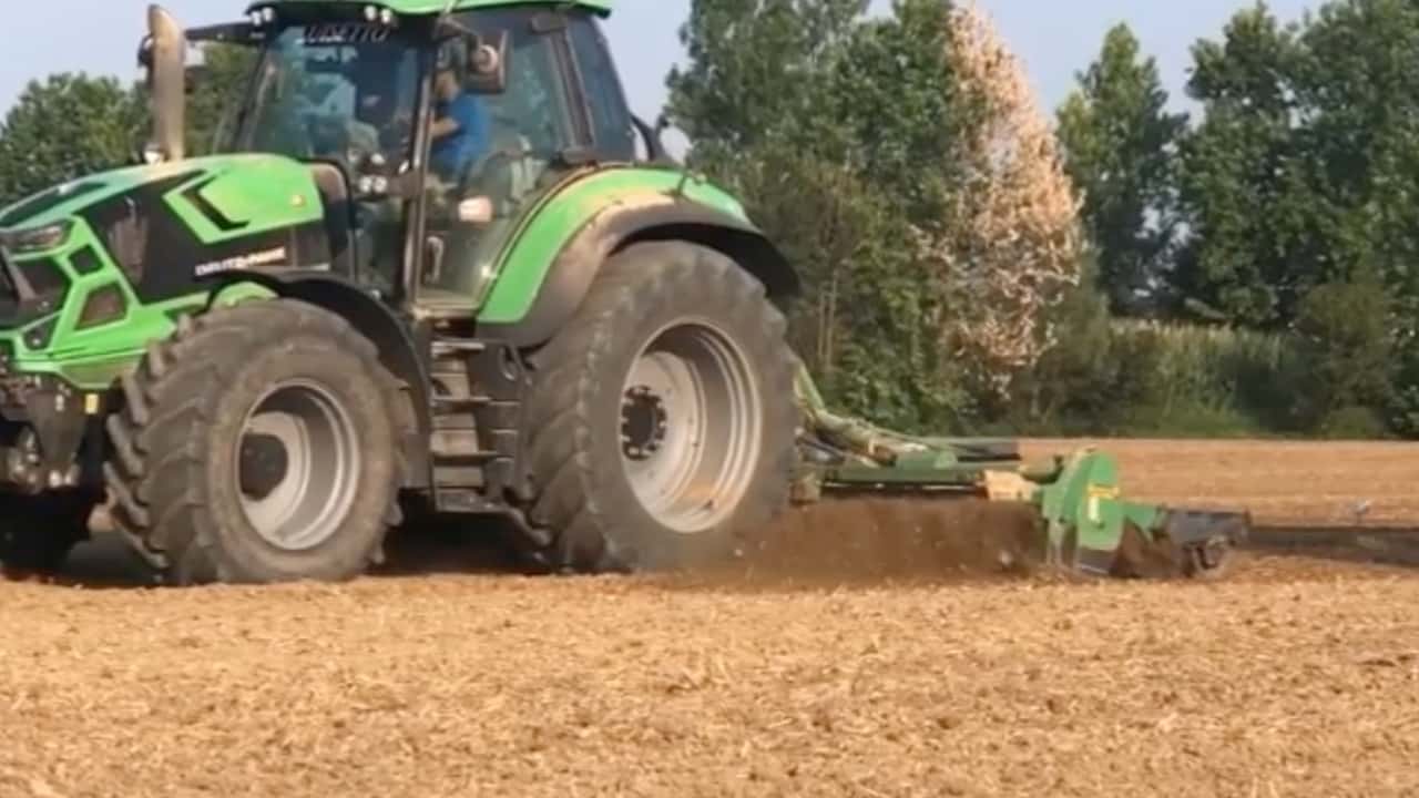 Come preparare il terreno alla soia di secondo raccolto?