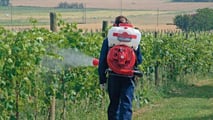 Vite e rame: come rispettare i nuovi LMR UE 2026/840