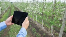 Professionista e agricoltore: due regimi fiscali compatibili