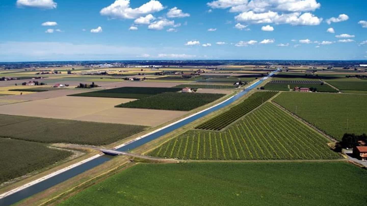 Irrigare nel 2026: scegliere tra mais e prati con poca acqua