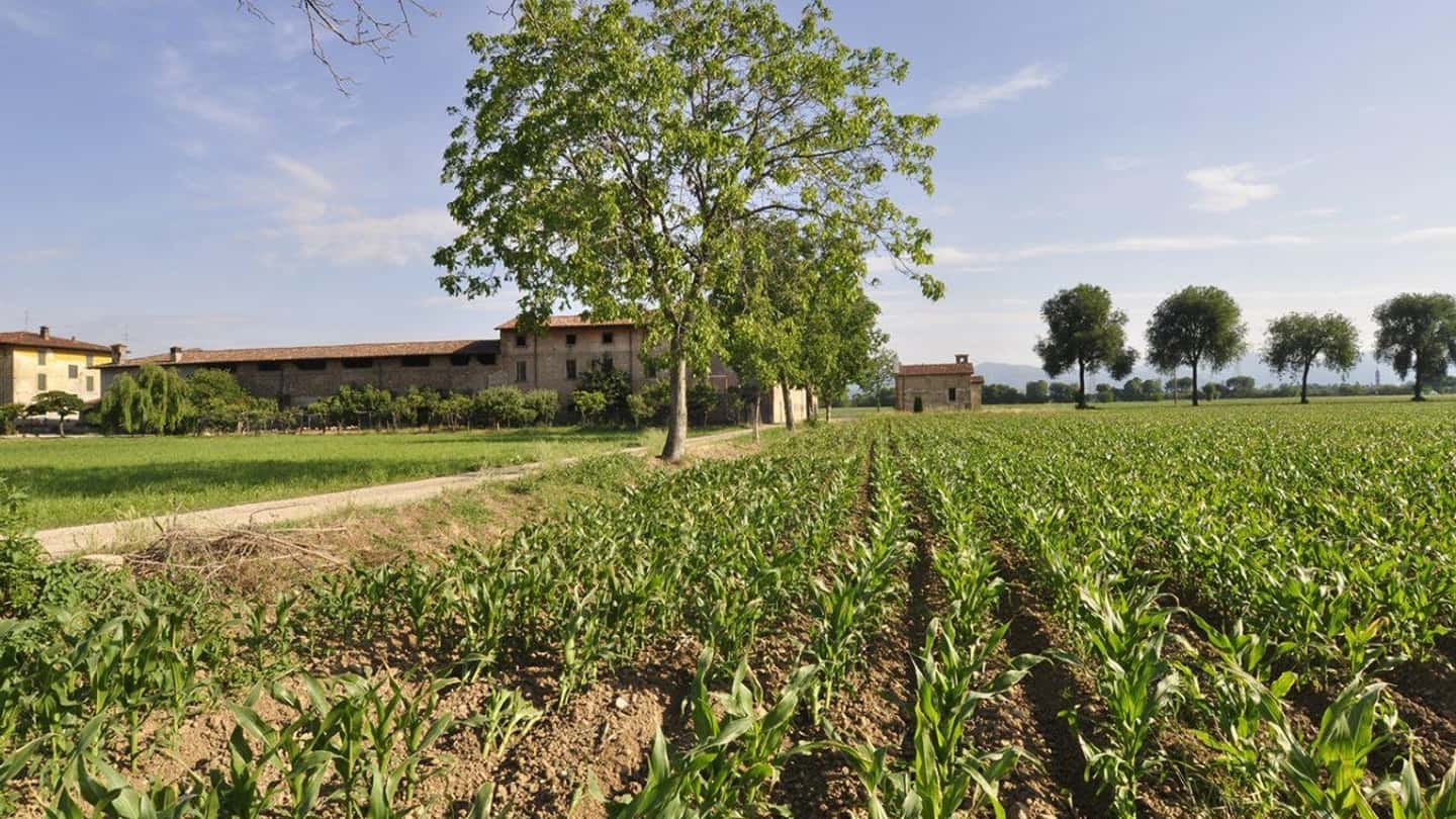 Agricoltura bergamasca, meno imprese e più aziende senza addetti