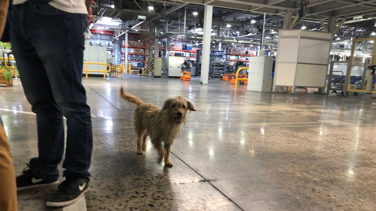 VISITA-VW-ARGENTINA-4
