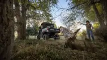 2023 Polaris Ranger XP Kinetic - Stump Pulling