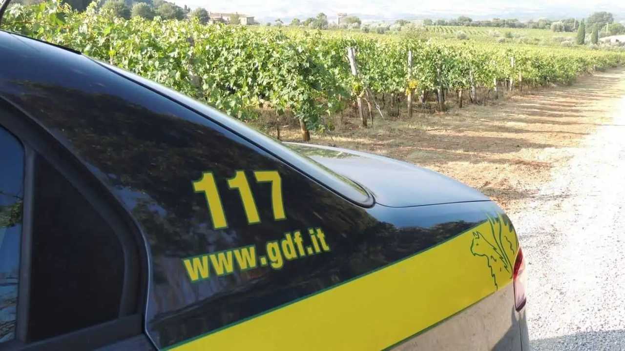 Rifiuti agricoli: come si smaltiscono
