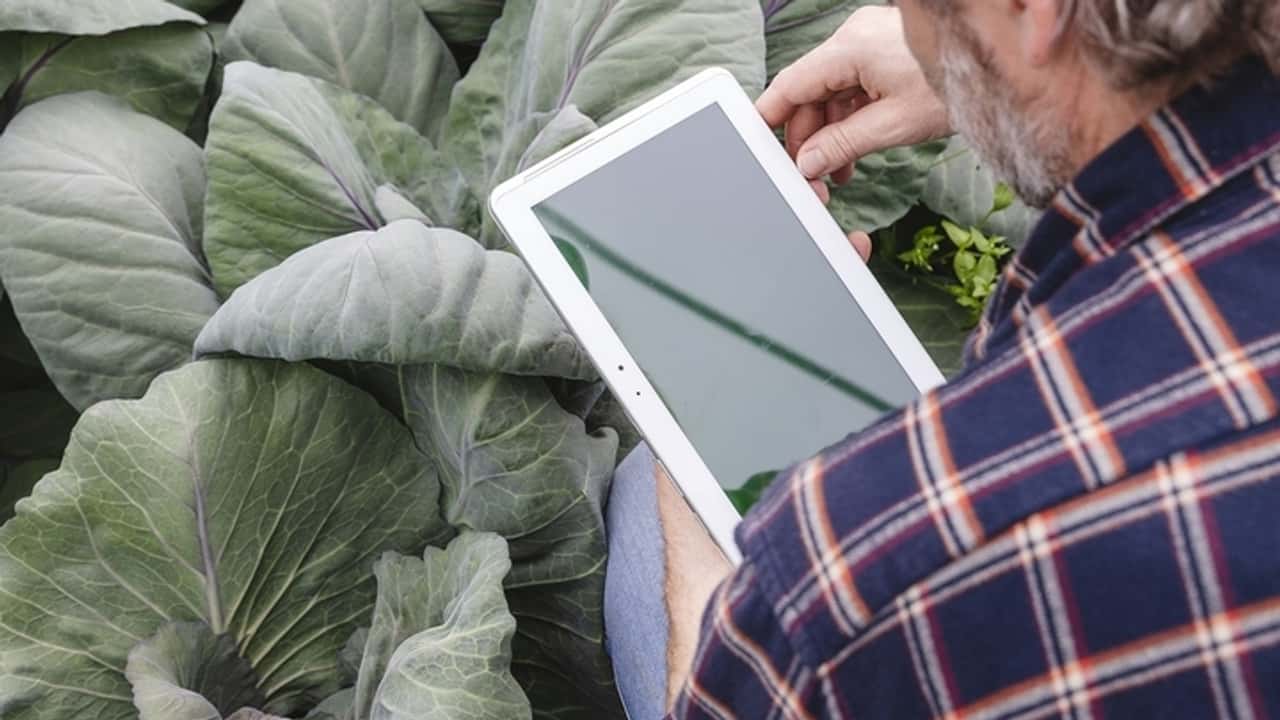 Nuove regole IVA 2025: impatti e opportunità per il settore agricolo
