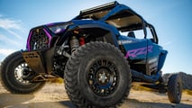 POLARIS-LE-9