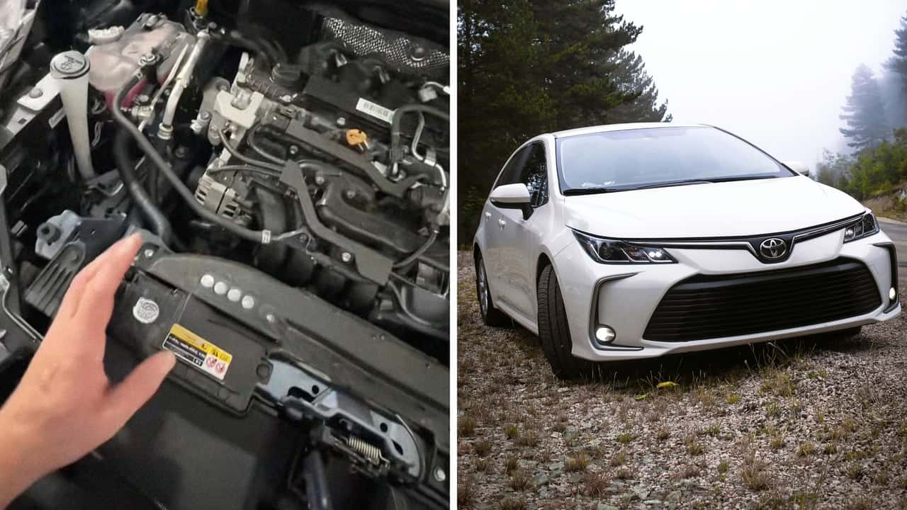 Toyota Corolla Hood