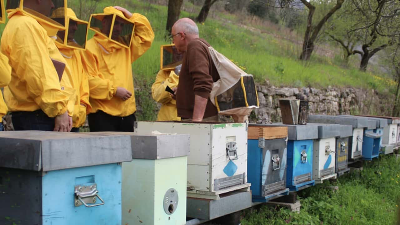 Scuole agrarie: opportunità concrete in un mercato del lavoro assetato di competenze