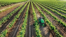 John Deere 5EN: nuova serie compatta per colture speciali