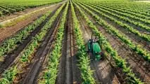 John Deere 5EN: nuova serie compatta per colture speciali