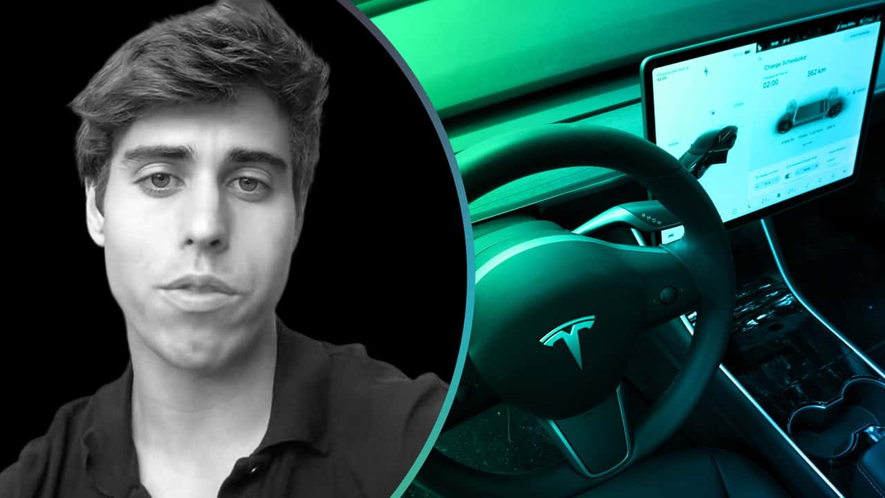 tesla full self driving suspended