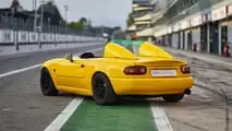 Gorgona Cars NM+