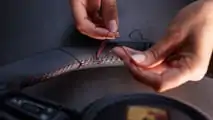 Porsche Sonderwunsch