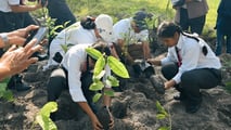 Il progetto BYD Building Dreams & Forest
