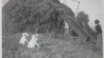 Gli albori della trebbiatura meccanica