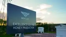 Bentley Honey Harvest