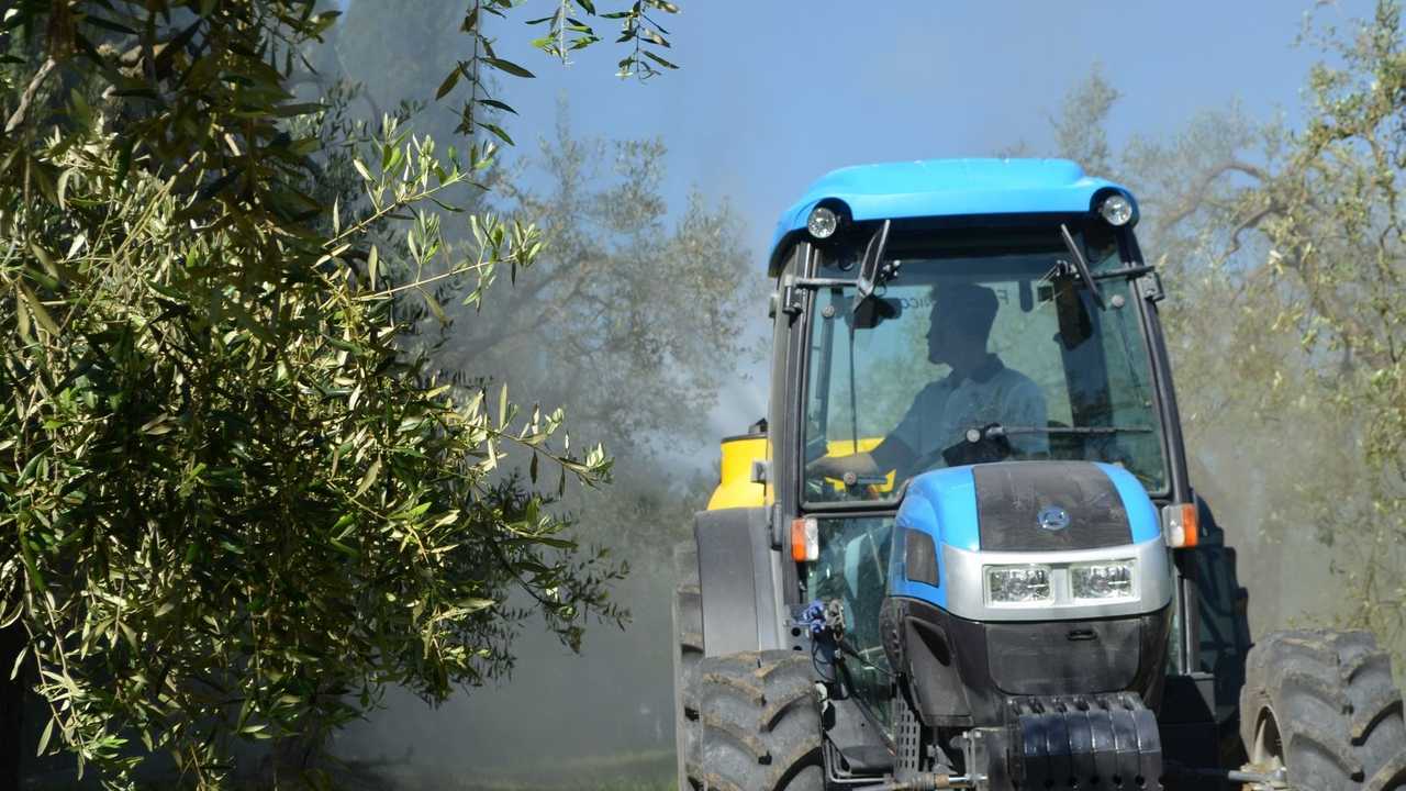 Esonero contributivo per i giovani agricoltori: c'è il rinnovo