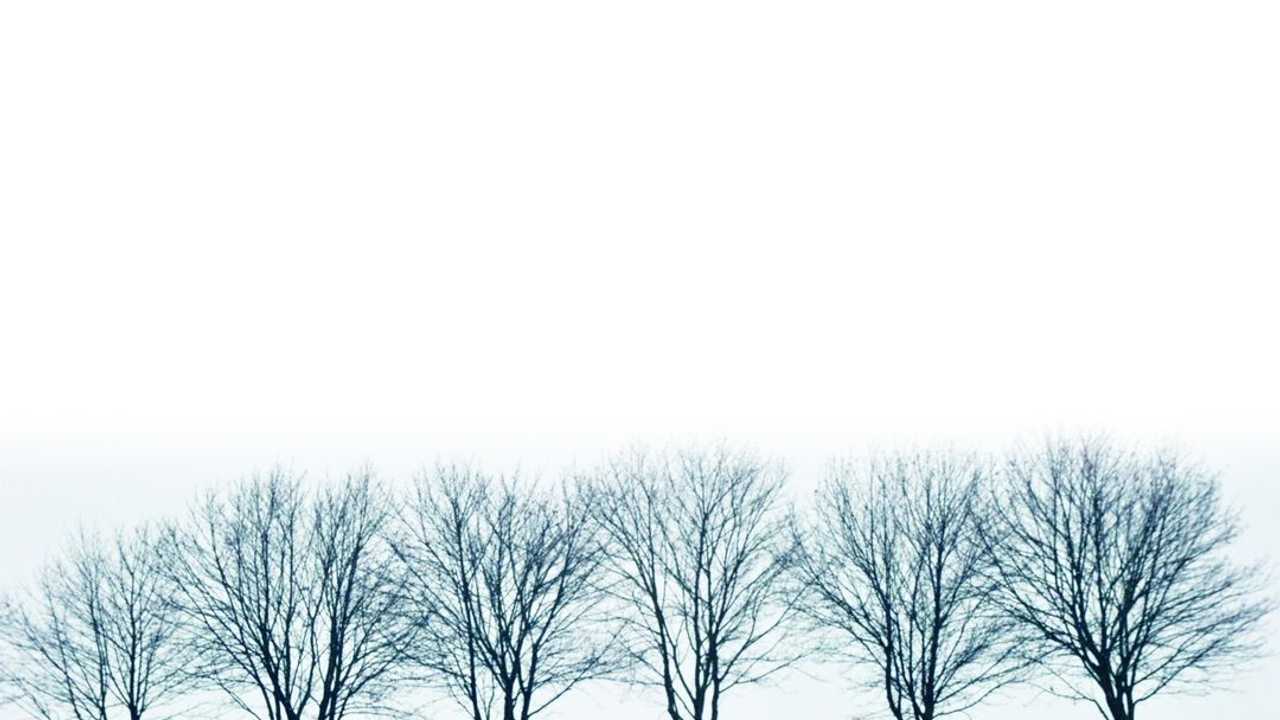 Arriva la neve nei campi? Ma magari...
