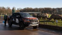 Ford Ranger Raptor at ZSL Whipsnade Zoo