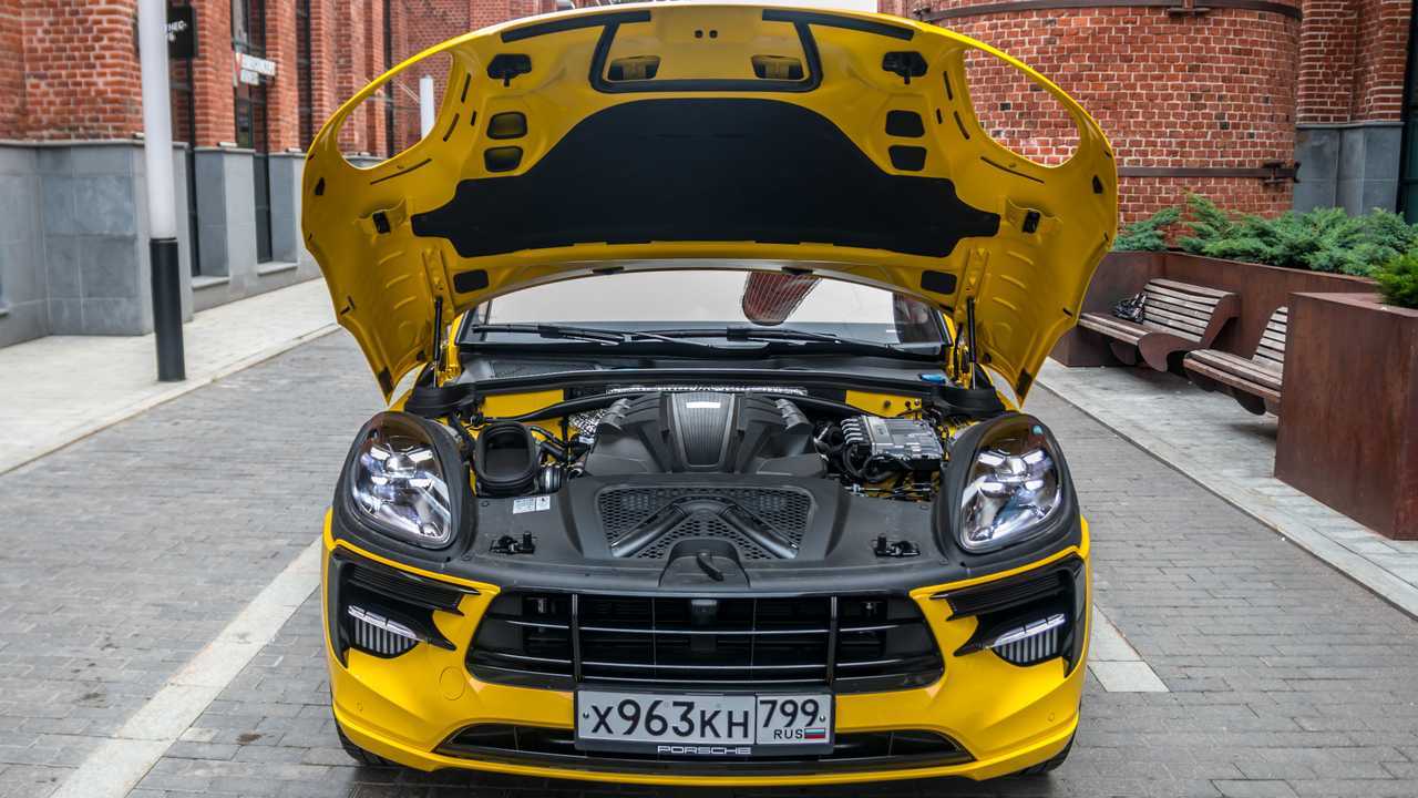 Macan